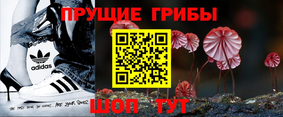 Дзержинский  купить наркоту  Вход с VPN  Псилоцибиновые грибы MAGIC MUSHROOMS 